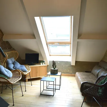 Le Patio Belle Maison En Plein Centre Ville, Avec Grande Terrasse Au Calme