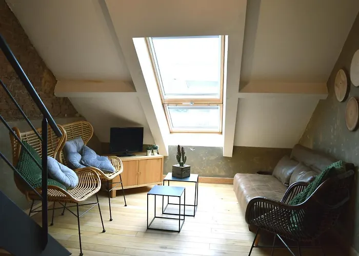 Le Patio Belle Maison En Plein Centre Ville, Avec Grande Terrasse Au Calme